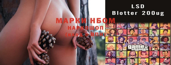 шишки Каменка