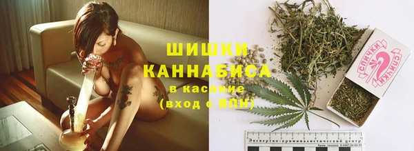 дурь Алзамай
